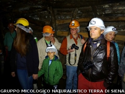 Sul Monte Amiata alla ricerrca del prugnolo