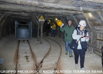 Sul Monte Amiata alla ricerrca del prugnolo
