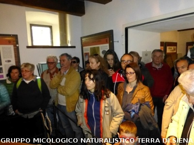 Sul Monte Amiata alla ricerrca del prugnolo