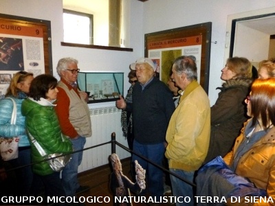 Sul Monte Amiata alla ricerrca del prugnolo