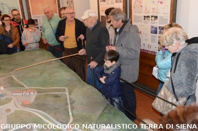 Sul Monte Amiata alla ricerrca del prugnolo