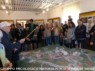 Sul Monte Amiata alla ricerrca del prugnolo