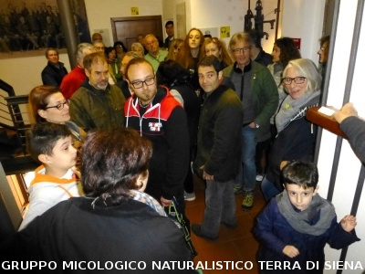 Sul Monte Amiata alla ricerrca del prugnolo