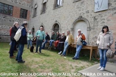 Sul Monte Amiata alla ricerrca del prugnolo