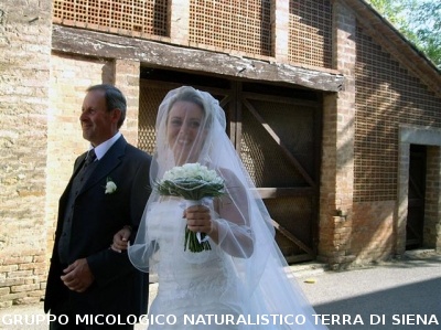 Matrimonio di una socia