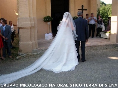 Matrimonio di una socia