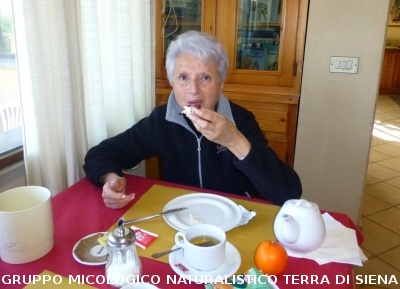 Sul Monte Amiata alla ricerca del 