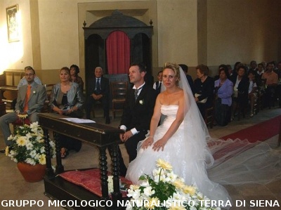 Matrimonio di una socia