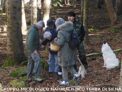 Sul Monte Amiata alla ricerca del 