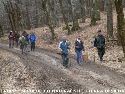 Sul Monte Amiata alla ricerca del 