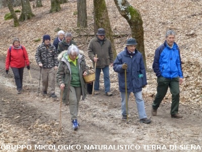 Sul Monte Amiata alla ricerca del 