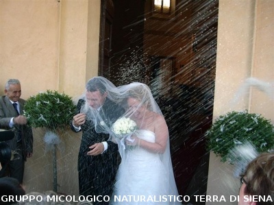 Matrimonio di una socia