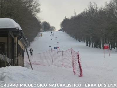 Sul Monte Amiata alla ricerca del 