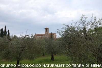 Visita alla Certosa di Pontignano