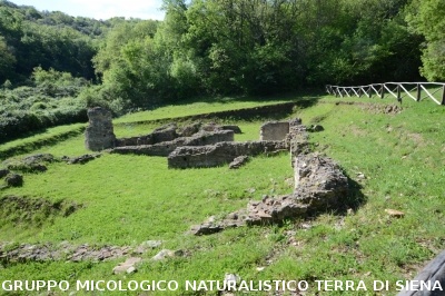 Escursione naturalistica a Roselle 