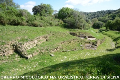 Escursione naturalistica a Roselle 
