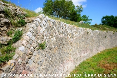 Escursione naturalistica a Roselle 