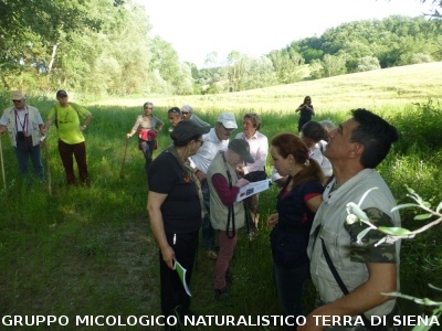 Escursione naturalistica 