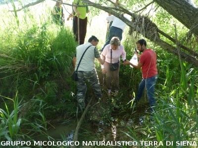 Escursione naturalistica 