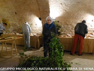 XIX Mostra Micologica Senese