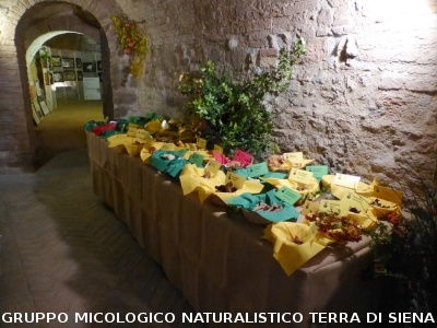 XIX Mostra Micologica Senese