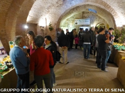 XIX Mostra Micologica Senese