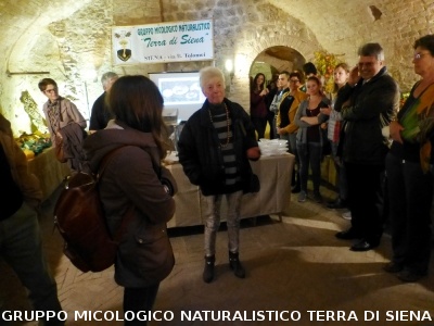 XIX Mostra Micologica Senese