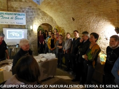 XIX Mostra Micologica Senese