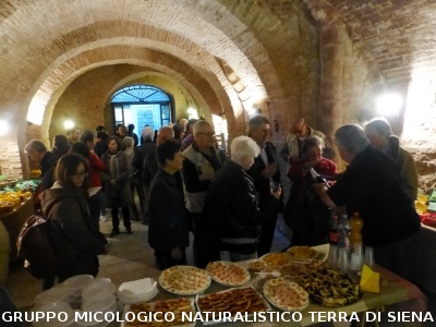 XIX Mostra Micologica Senese