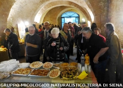 XIX Mostra Micologica Senese