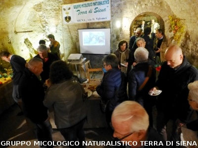 XIX Mostra Micologica Senese