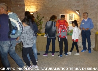 XIX Mostra Micologica Senese