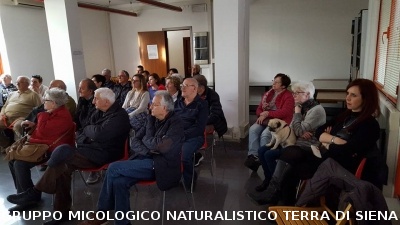 Conferenza sulle Rocce del Prof. Costantini