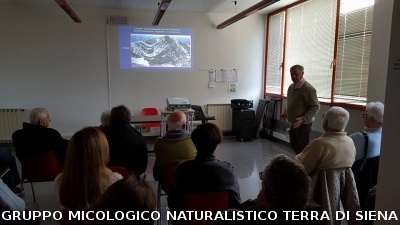 Conferenza sulle Rocce del Prof. Costantini