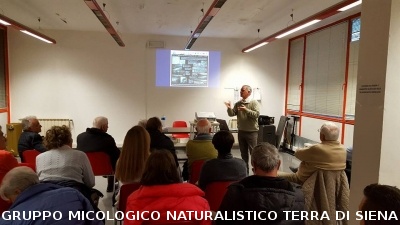 Conferenza sulle Rocce del Prof. Costantini