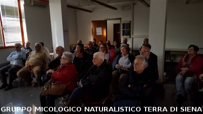 Conferenza sulle Rocce del Prof. Costantini