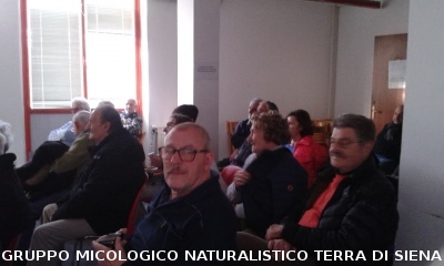 Conferenza sulle Rocce del Prof. Costantini