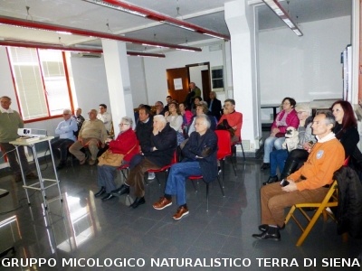 Conferenza sulle Rocce del Prof. Costantini