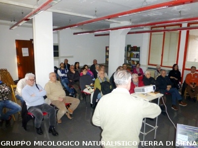 Conferenza sulle Rocce del Prof. Costantini
