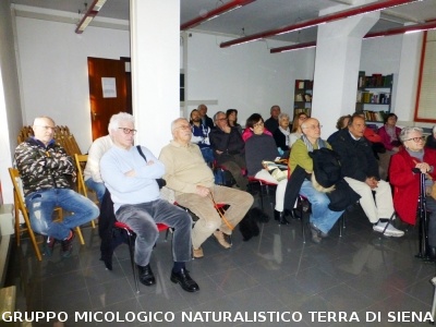 Conferenza sulle Rocce del Prof. Costantini