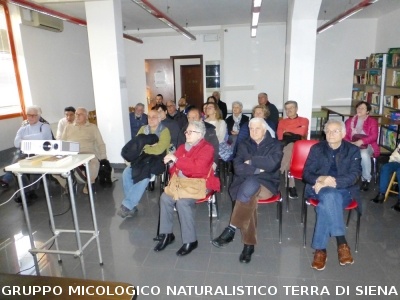 Conferenza sulle Rocce del Prof. Costantini