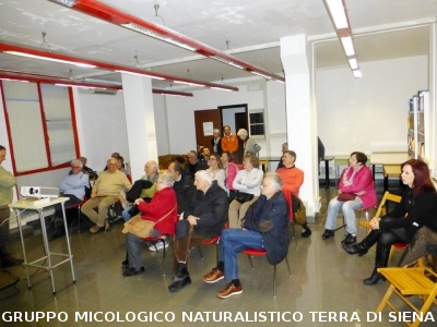 Conferenza sulle Rocce del Prof. Costantini