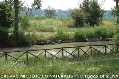 Corso per raccoglitori funghi a Montepulciano