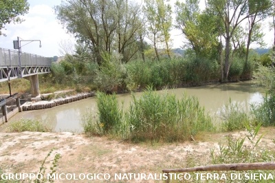 Corso per raccoglitori funghi a Montepulciano
