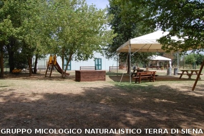 Corso per raccoglitori funghi a Montepulciano