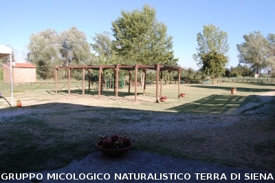 Corso per raccoglitori funghi a Montepulciano