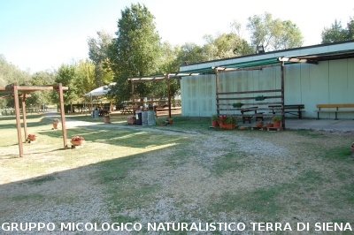 Corso per raccoglitori funghi a Montepulciano