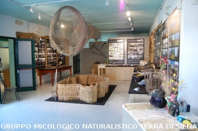 Corso per raccoglitori funghi a Montepulciano