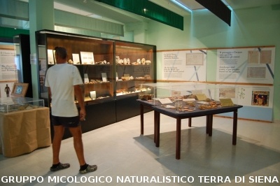 Corso per raccoglitori funghi a Montepulciano