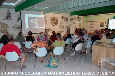 Corso per raccoglitori funghi a Montepulciano